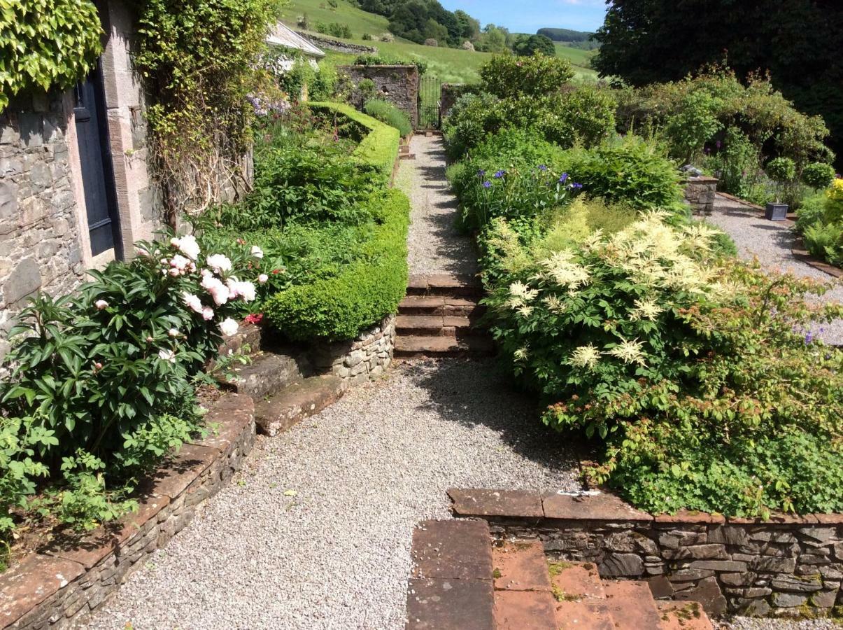 MoniaiveThe Garden Studio公寓 外观 照片