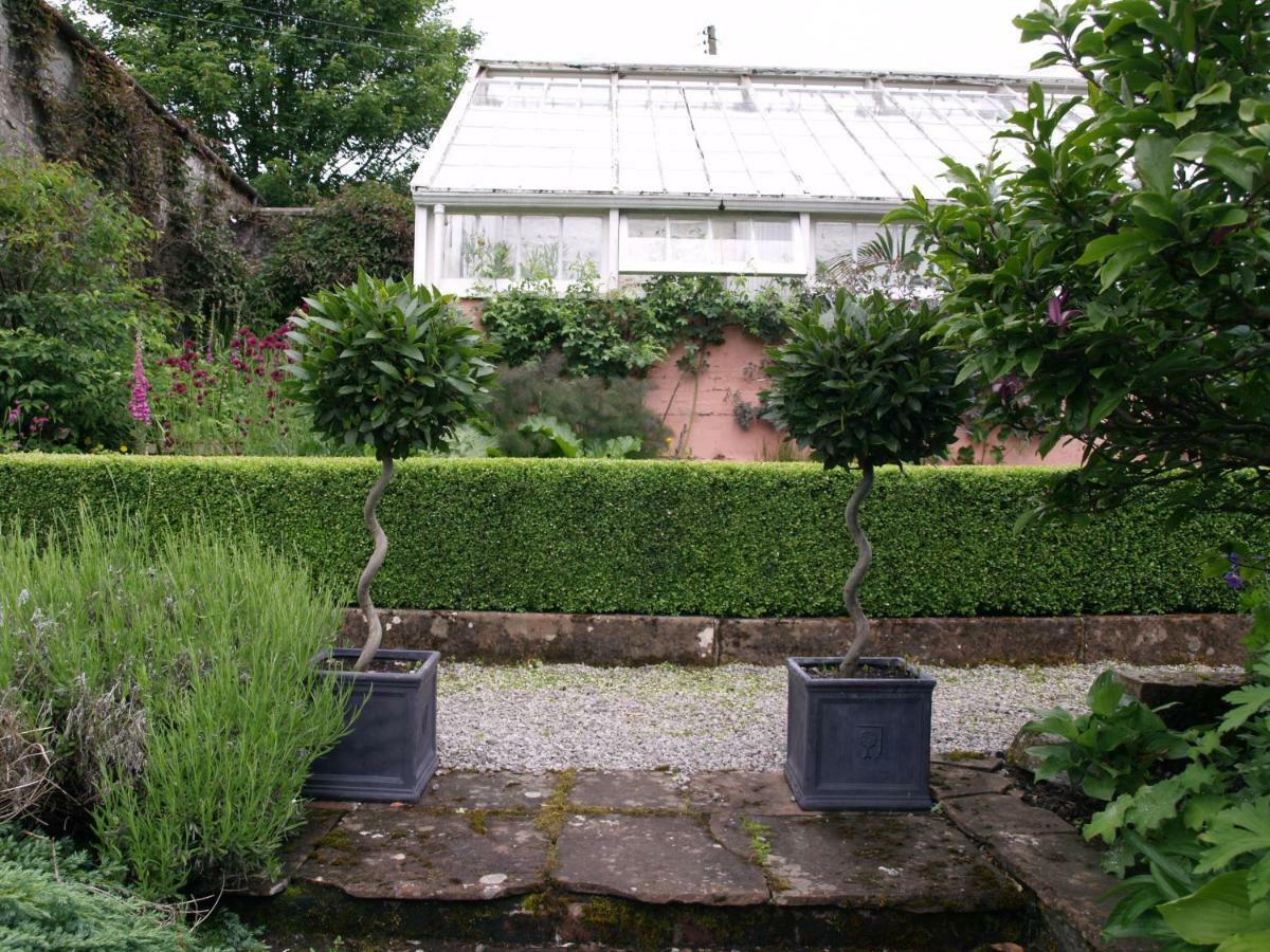 MoniaiveThe Garden Studio公寓 外观 照片